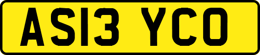 AS13YCO