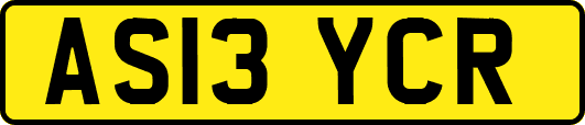AS13YCR