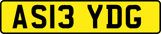 AS13YDG