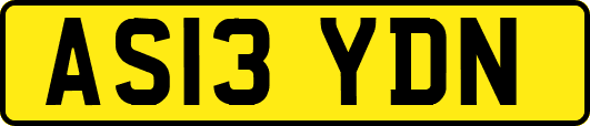 AS13YDN