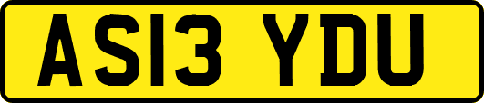AS13YDU