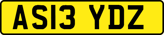 AS13YDZ