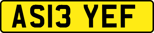 AS13YEF