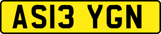 AS13YGN