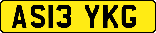 AS13YKG