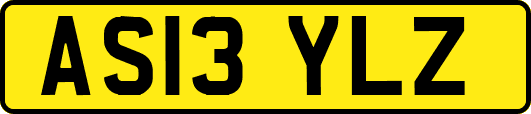 AS13YLZ