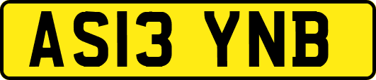 AS13YNB