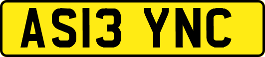 AS13YNC