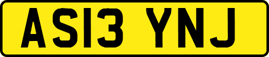 AS13YNJ