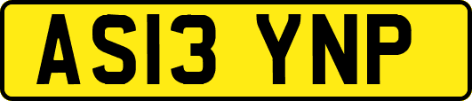 AS13YNP