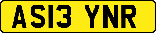 AS13YNR