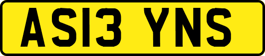 AS13YNS
