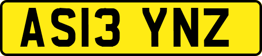 AS13YNZ
