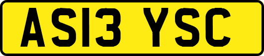 AS13YSC
