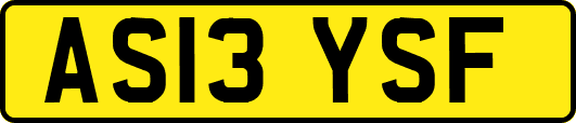 AS13YSF
