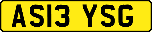 AS13YSG