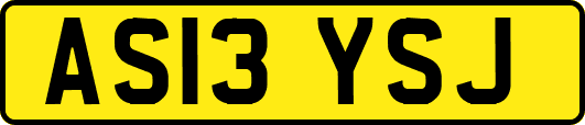 AS13YSJ