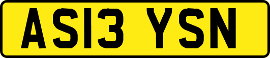 AS13YSN