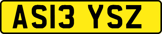 AS13YSZ