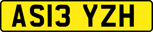 AS13YZH