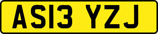 AS13YZJ