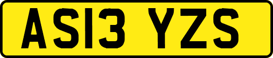 AS13YZS
