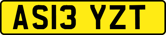 AS13YZT