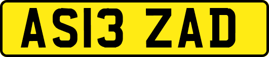 AS13ZAD