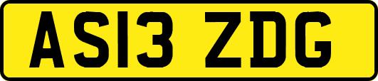 AS13ZDG