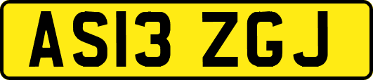 AS13ZGJ