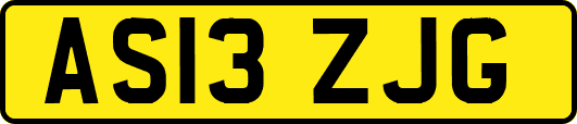 AS13ZJG