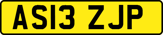 AS13ZJP