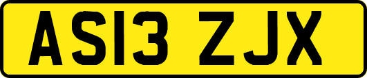 AS13ZJX