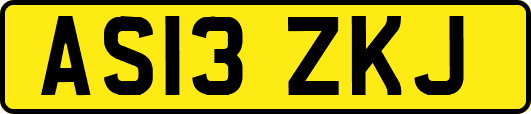 AS13ZKJ