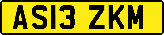 AS13ZKM