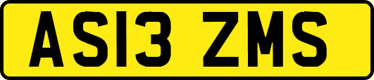 AS13ZMS