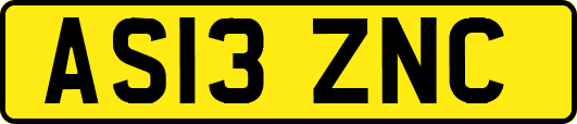 AS13ZNC