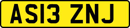 AS13ZNJ