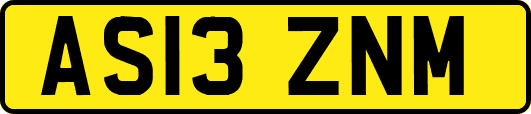 AS13ZNM