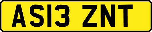 AS13ZNT