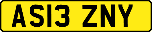 AS13ZNY