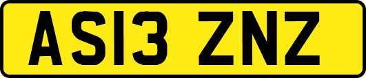 AS13ZNZ