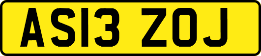 AS13ZOJ