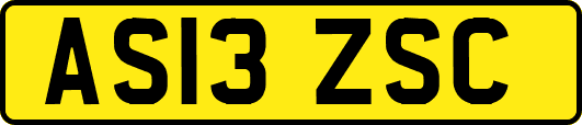 AS13ZSC