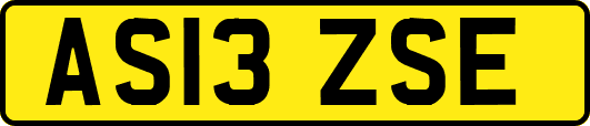 AS13ZSE