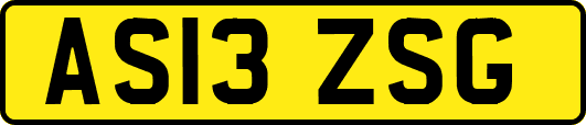 AS13ZSG