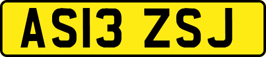 AS13ZSJ