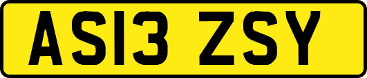 AS13ZSY