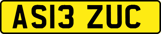 AS13ZUC