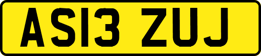 AS13ZUJ